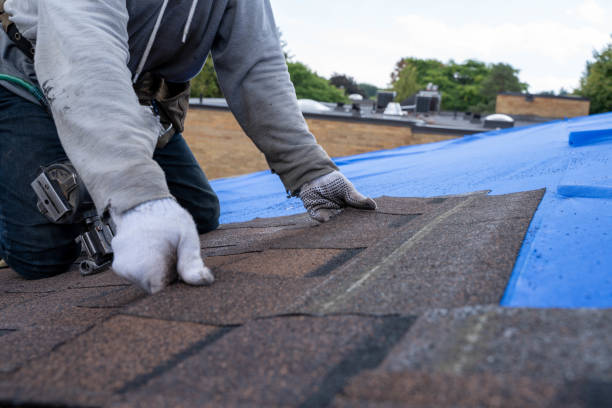 Best Gutter Installation and Roofing  in Woodside, PA
