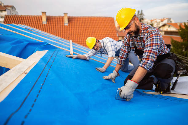Best Roof Gutter Cleaning  in Woodside, PA